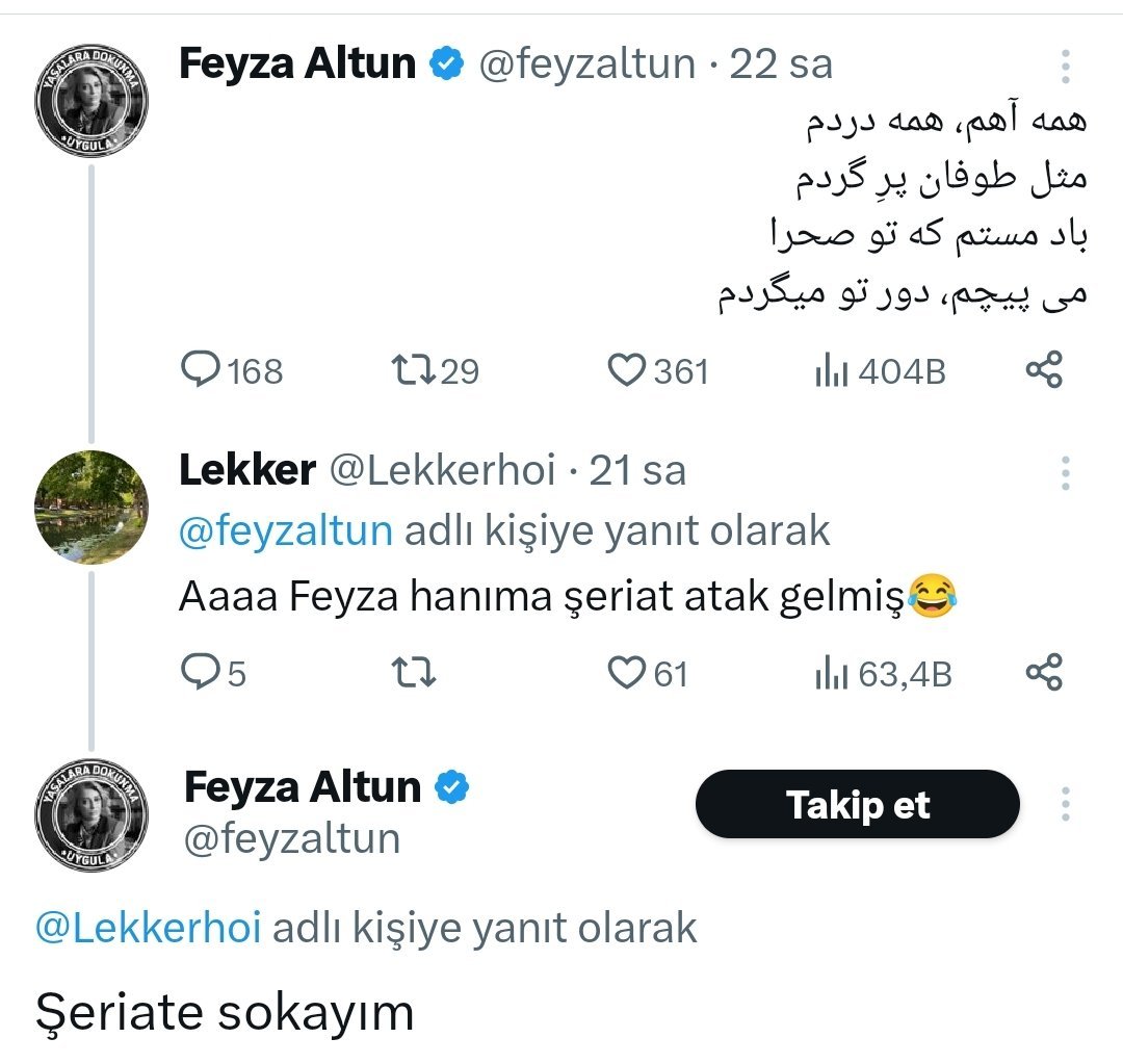 Feyzaaltunseriatiçinnededi