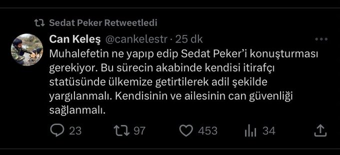 6728e8ae9599e sedat peker