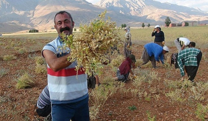 6728eb808810d fatih mehmet macoglu tunceli belediyesi isci maaslari