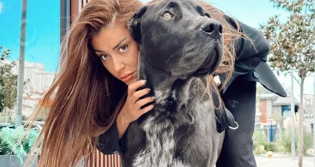 Banu Parlak'ın köpeği komşusunun köpeğini parçaladı! Dehşet olayda ihmal ortaya çıktı