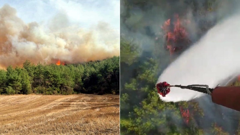 Çanakkale ve Muğla'da korkutan orman yangınları