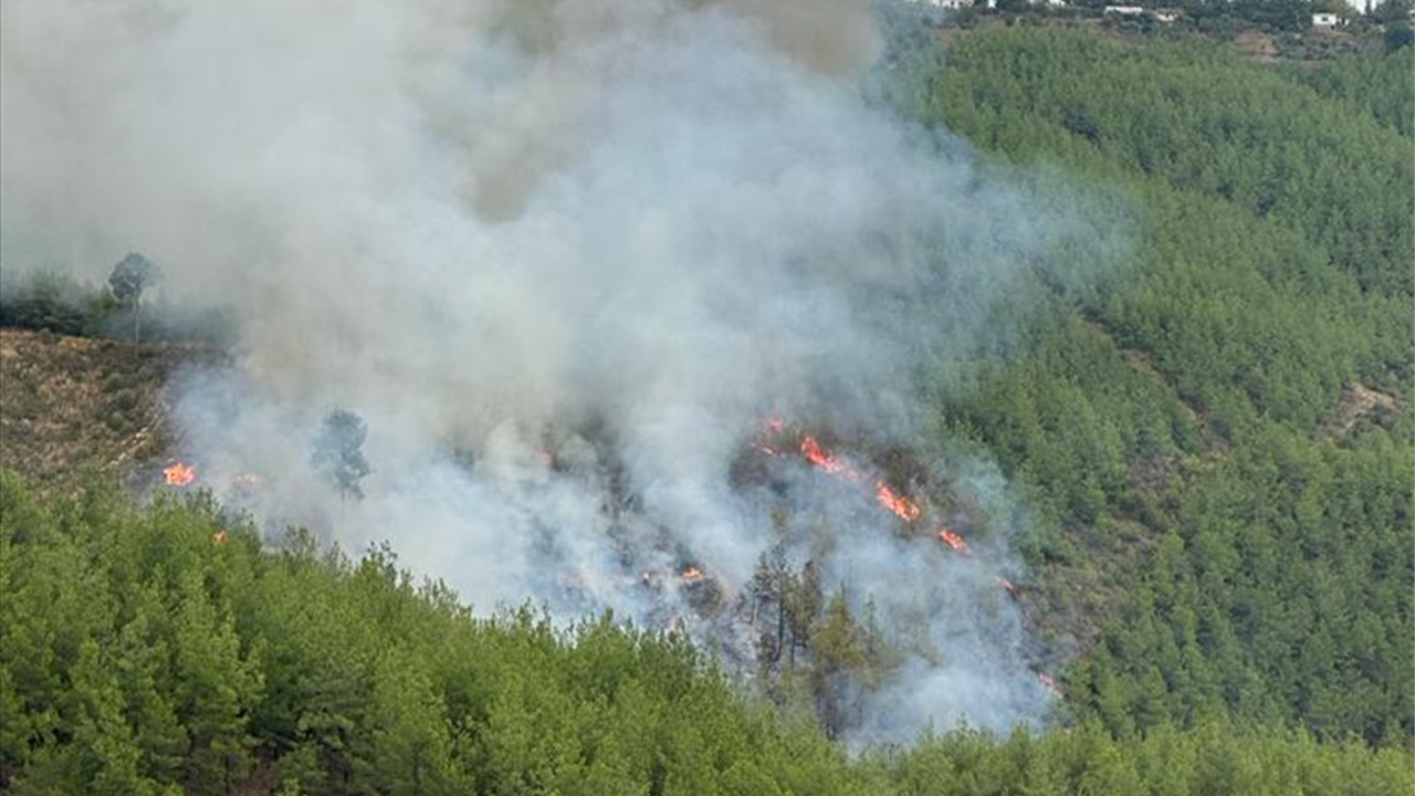 Adana'da korkutan orman yangını