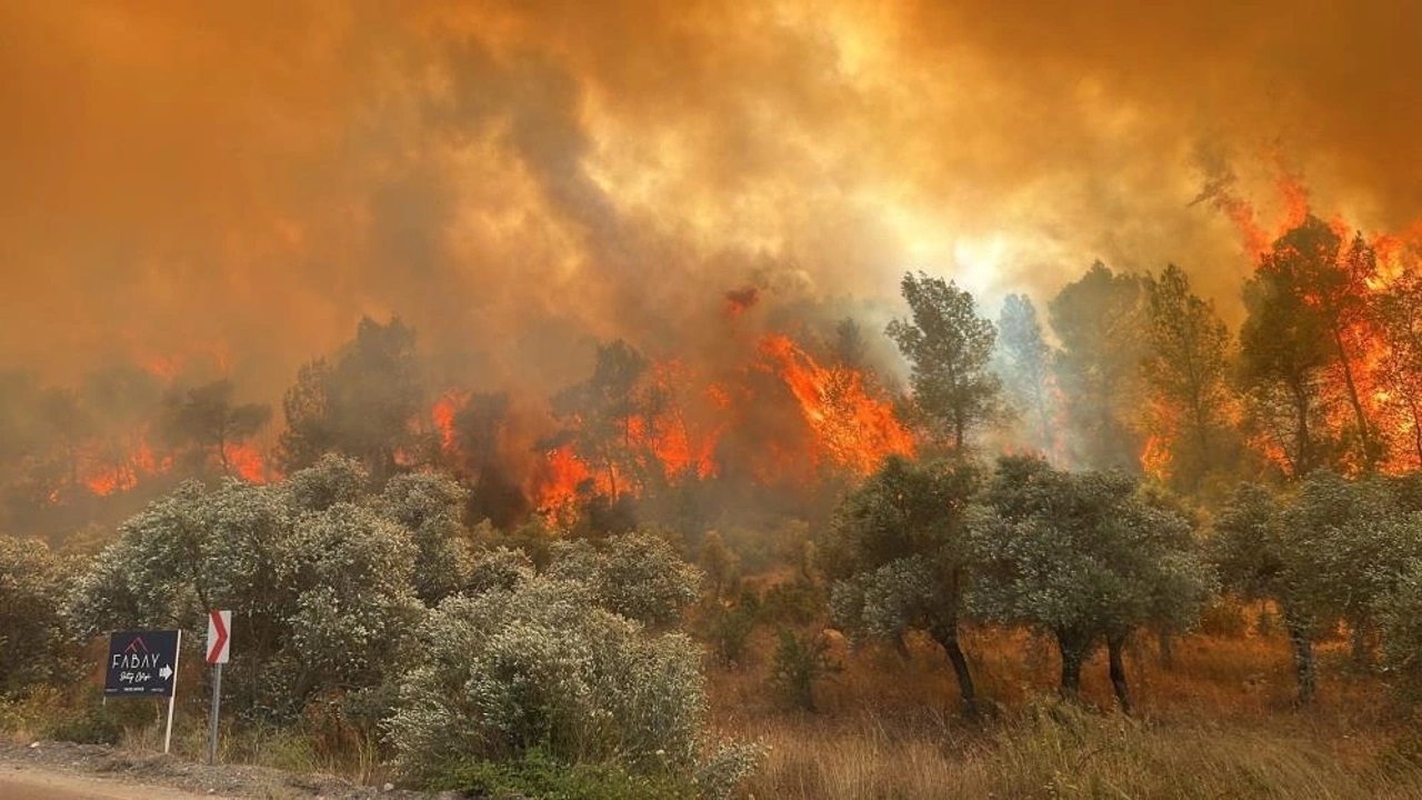 Muğla Milas orman yangında şok görüntüler! Yangın böyle başlamış…