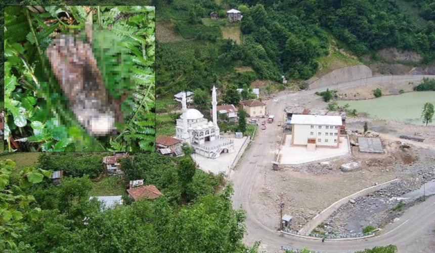 Artvin'de tüyler ürperten vaka: Kopmuş insan ayağı bulundu