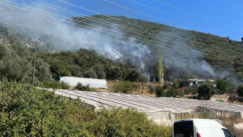 Antalya Kaş'ta korkutan yangın! Ev ve seralara yakın yerde…