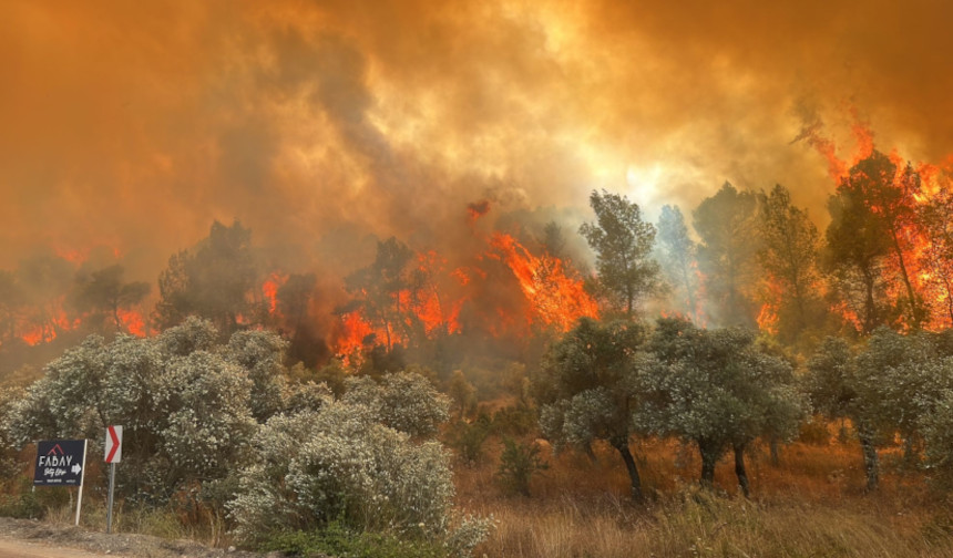 Muğla'da ciğer yakan yangın: Felaketin büyüklüğü dehşete düşürdü