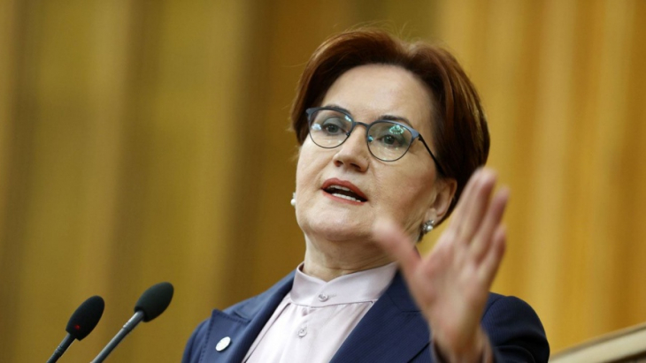 Meral Akşener'den bakanlara çağrı! Görelim çapınız neymiş