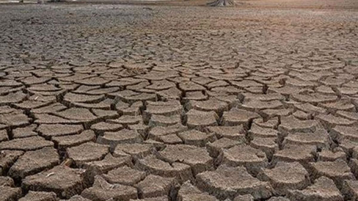 Kuraklık en çok Türkiye'yi vuracak! Gıda fiyatları tavan yapacak