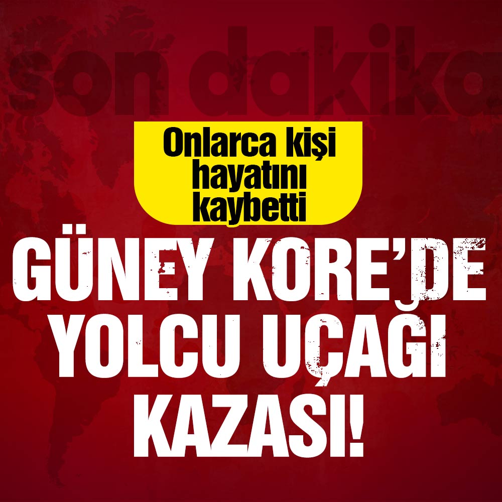 Bir yolcu uçağı kazası daha! Onlarca kişi hayatını kaybetti